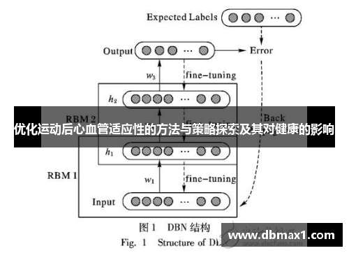 优化运动后心血管适应性的方法与策略探索及其对健康的影响