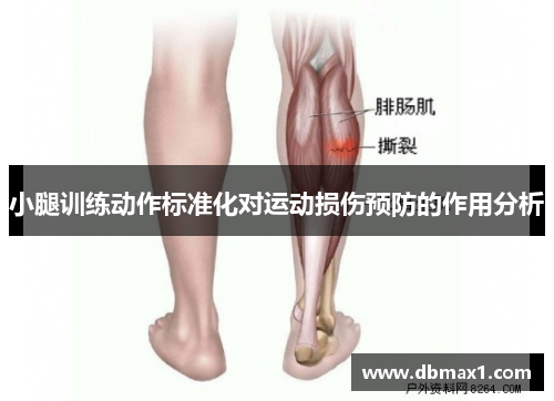 小腿训练动作标准化对运动损伤预防的作用分析